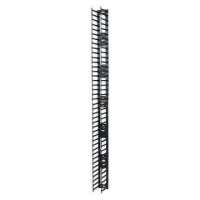 Vertical Cable Manager for NetShelter SX 750mm Wide 42U (Qt)